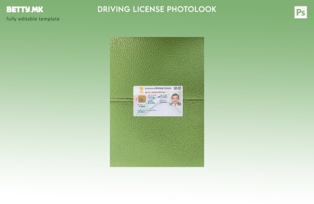 модерен стил индиската возачка дозвола нова верзија photolook преден шаблон